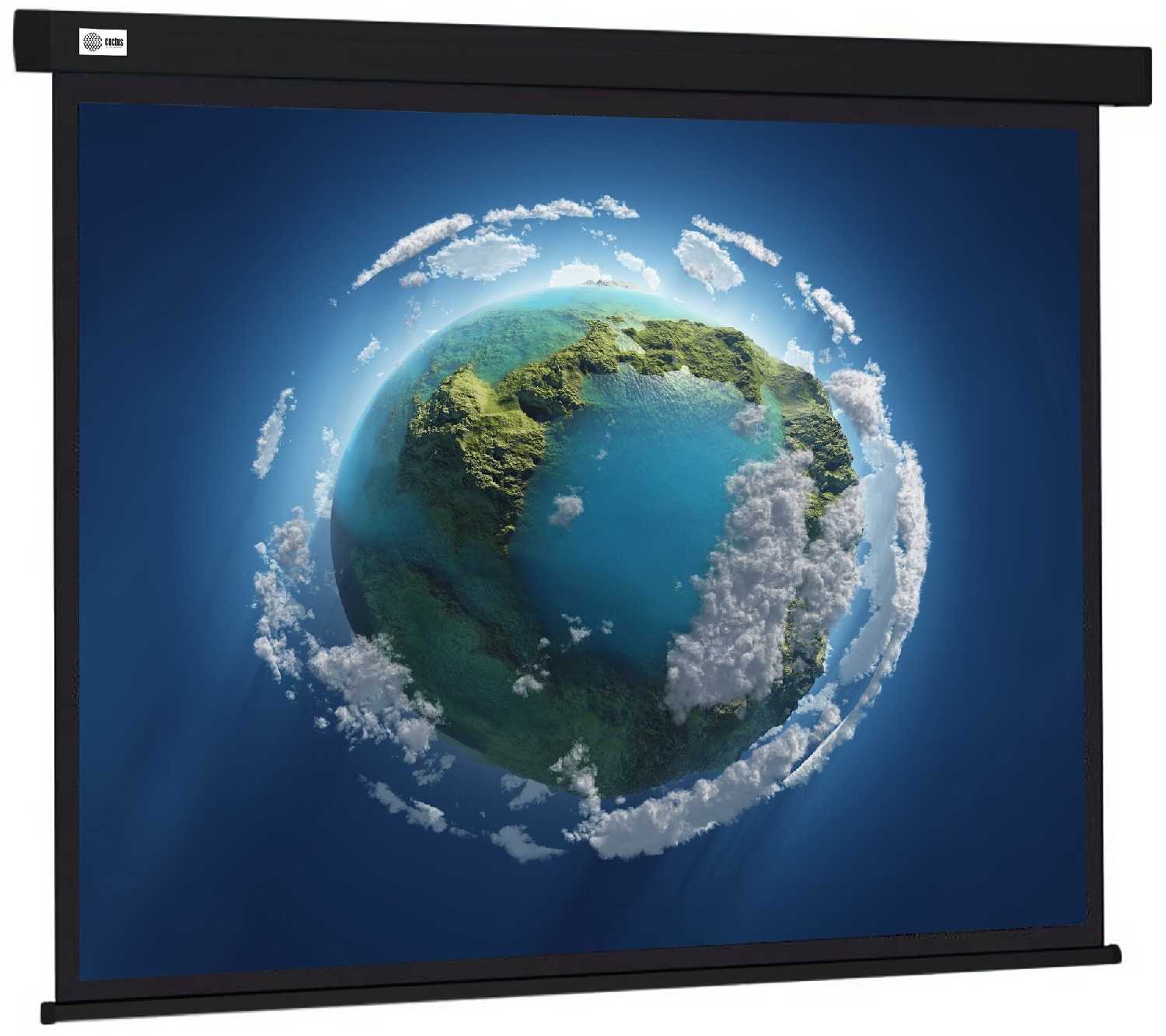 Рулонный cactus Wallscreen (CS-PSW-127X127)