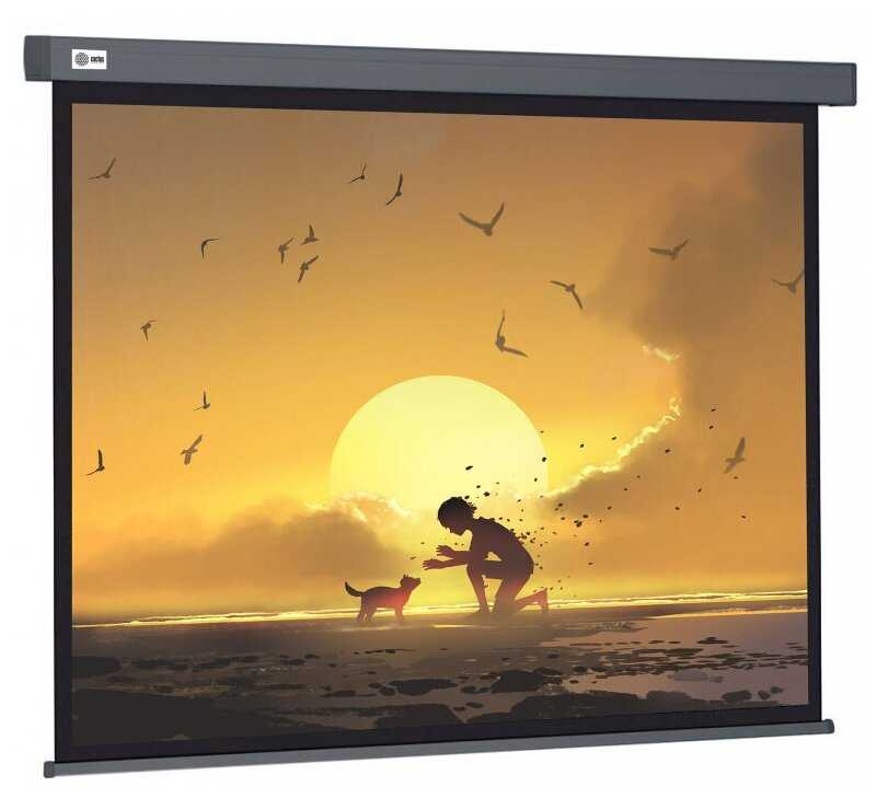 Рулонный cactus Wallscreen (CS-PSW-150X150-SG) фотография 5