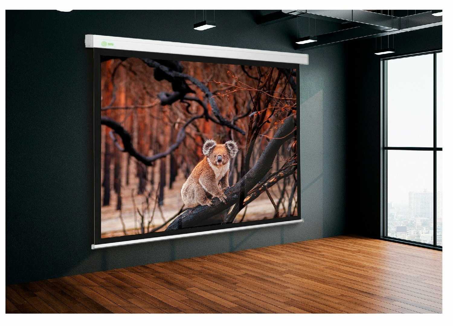 Рулонный cactus Wallscreen (CS-PSW-168x299) фотография 9