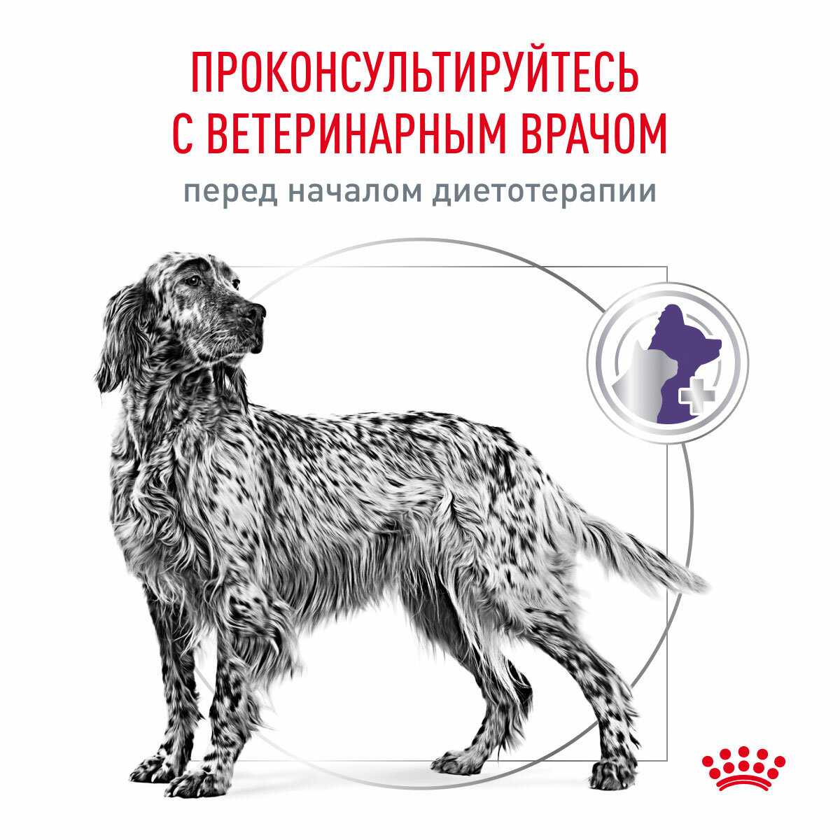 ROYAL CANIN NEUTERED ADULT MEDIUM DOG M (9 + 9 кг) фотография 7
