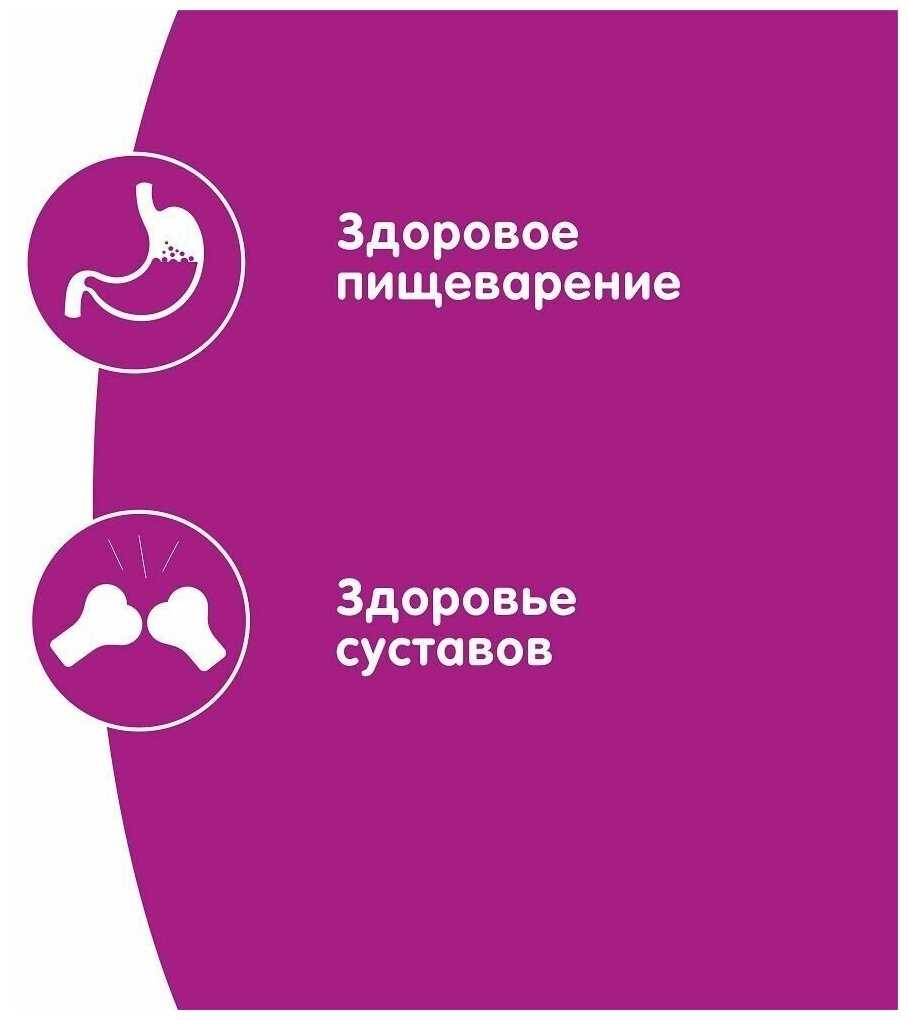 Корм для пожилых кошек Whiskas курица (кусочки в соусе) фотография 6