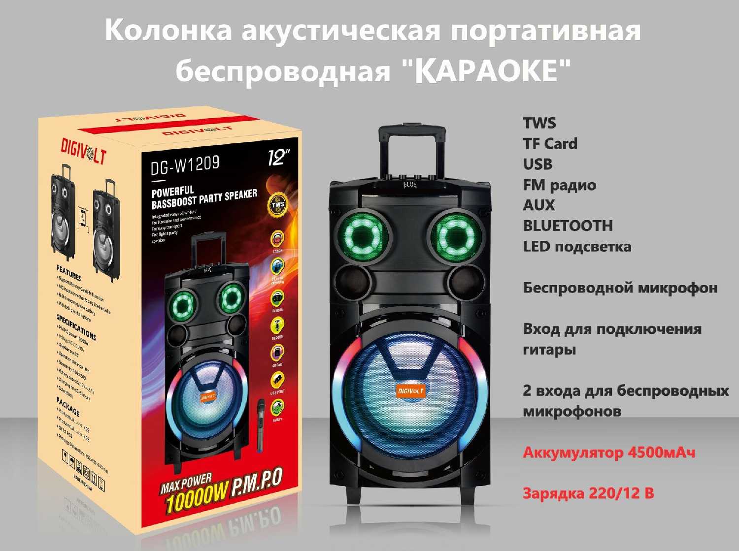 Колонка акустическая Караоке TWS W1209