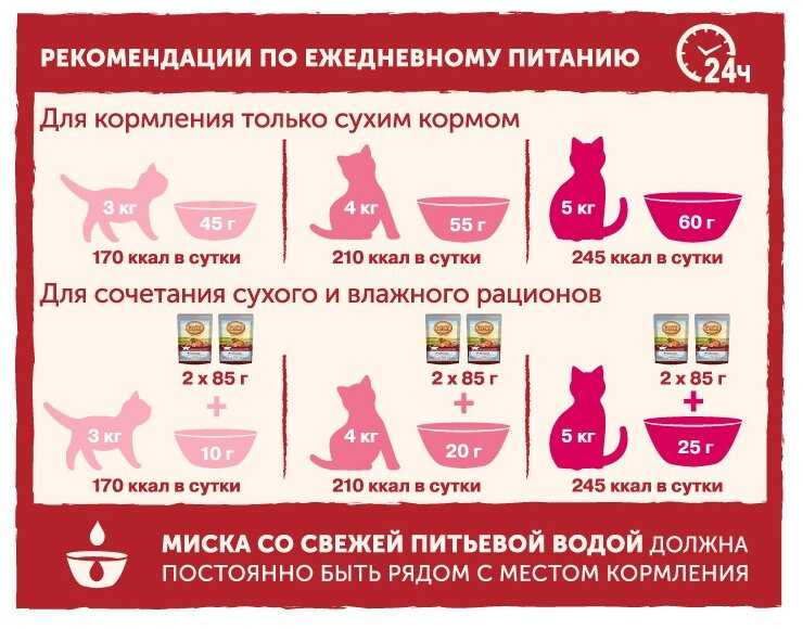 Корм для кошек Nature's Table с лососем фотография 1