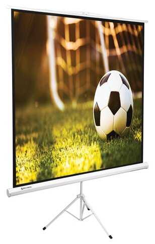 Рулонный BRAUBERG Tripod (236729)