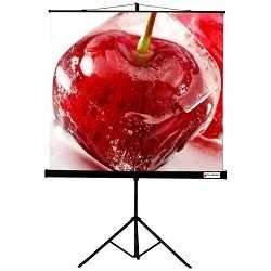 Рулонный ViewScreen Clamp (TCL-1101) фотография 10