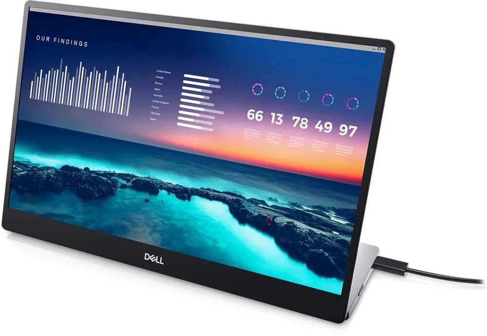 Портативный монитор DELL P1424H фотография 1