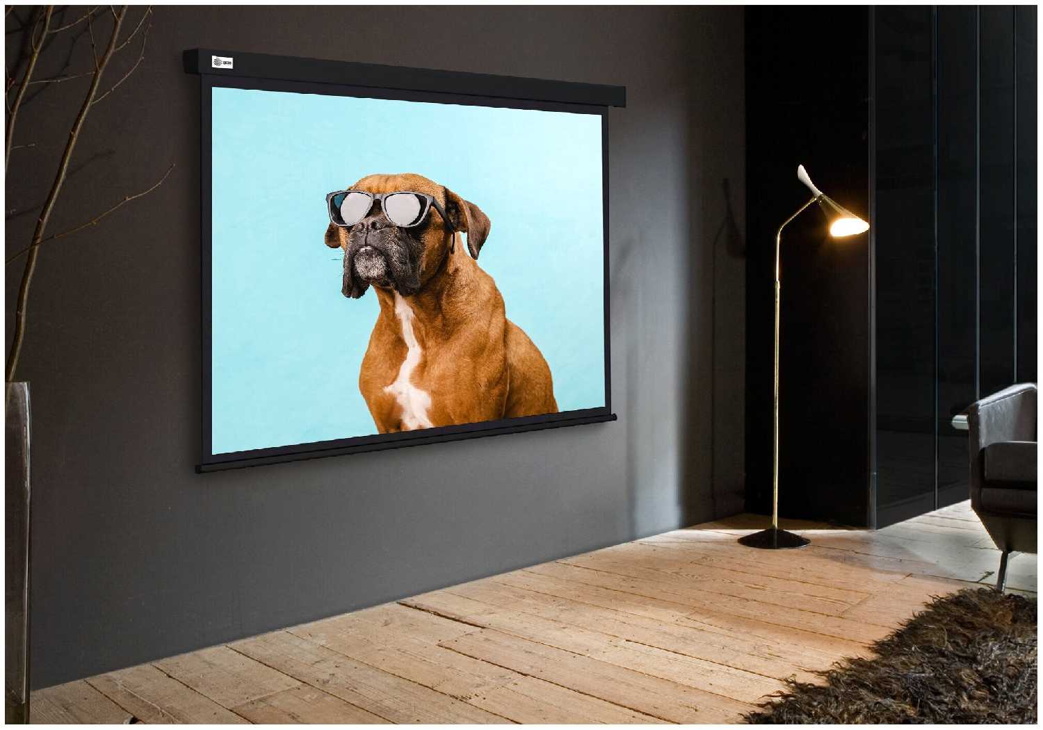 Рулонный cactus Wallscreen (CS-PSW-183X244-BK) фотография 4