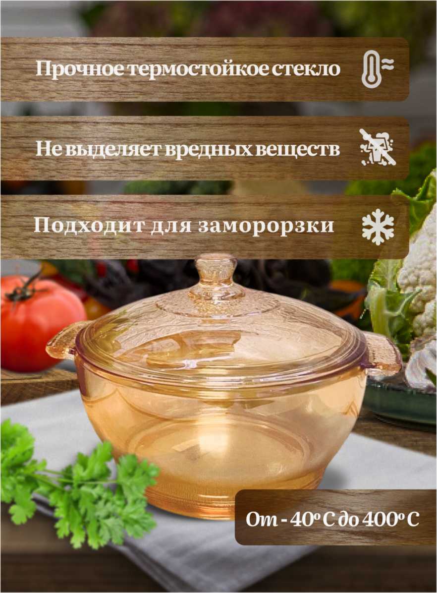 Кастрюля Кастрюля-жаровня (21.7 х 17.5 см) фотография 1