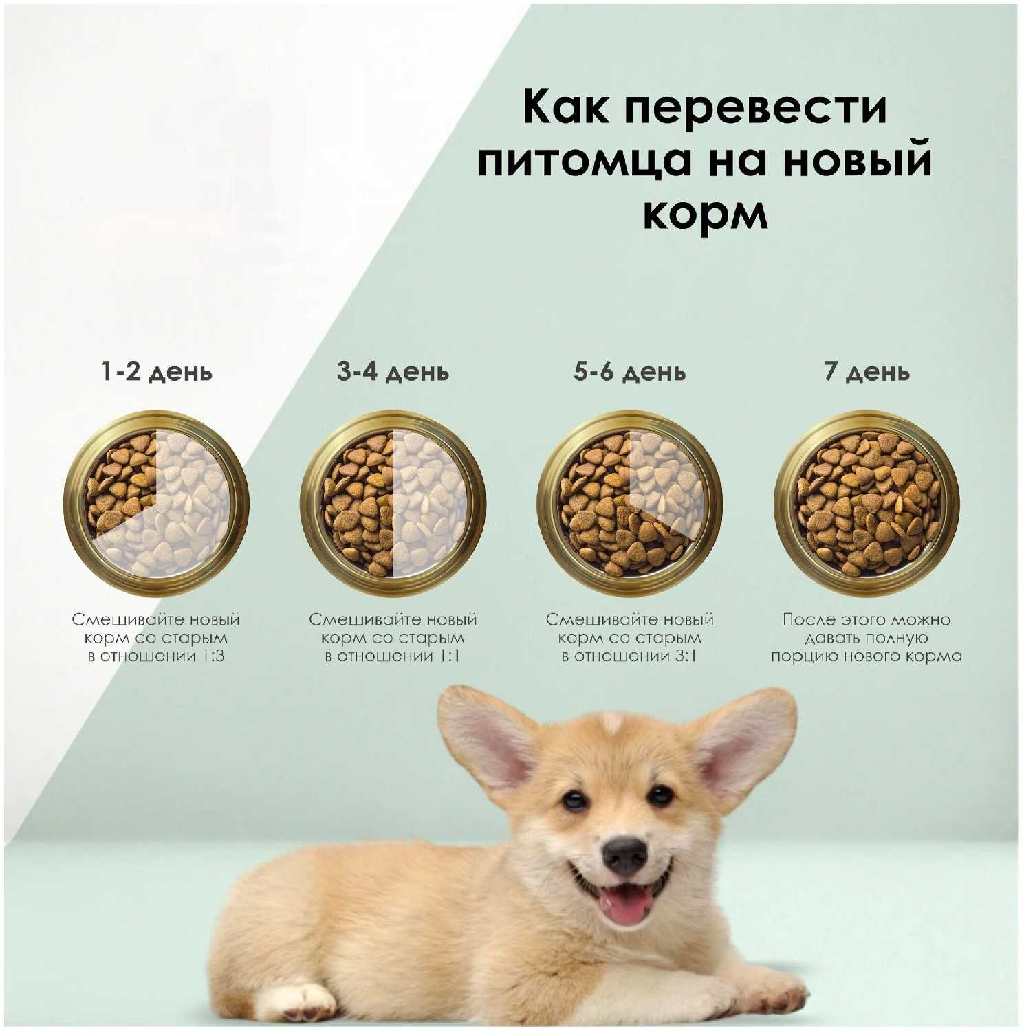 Корм для собак Secret for Pets Life Force (говядина) фотография 13
