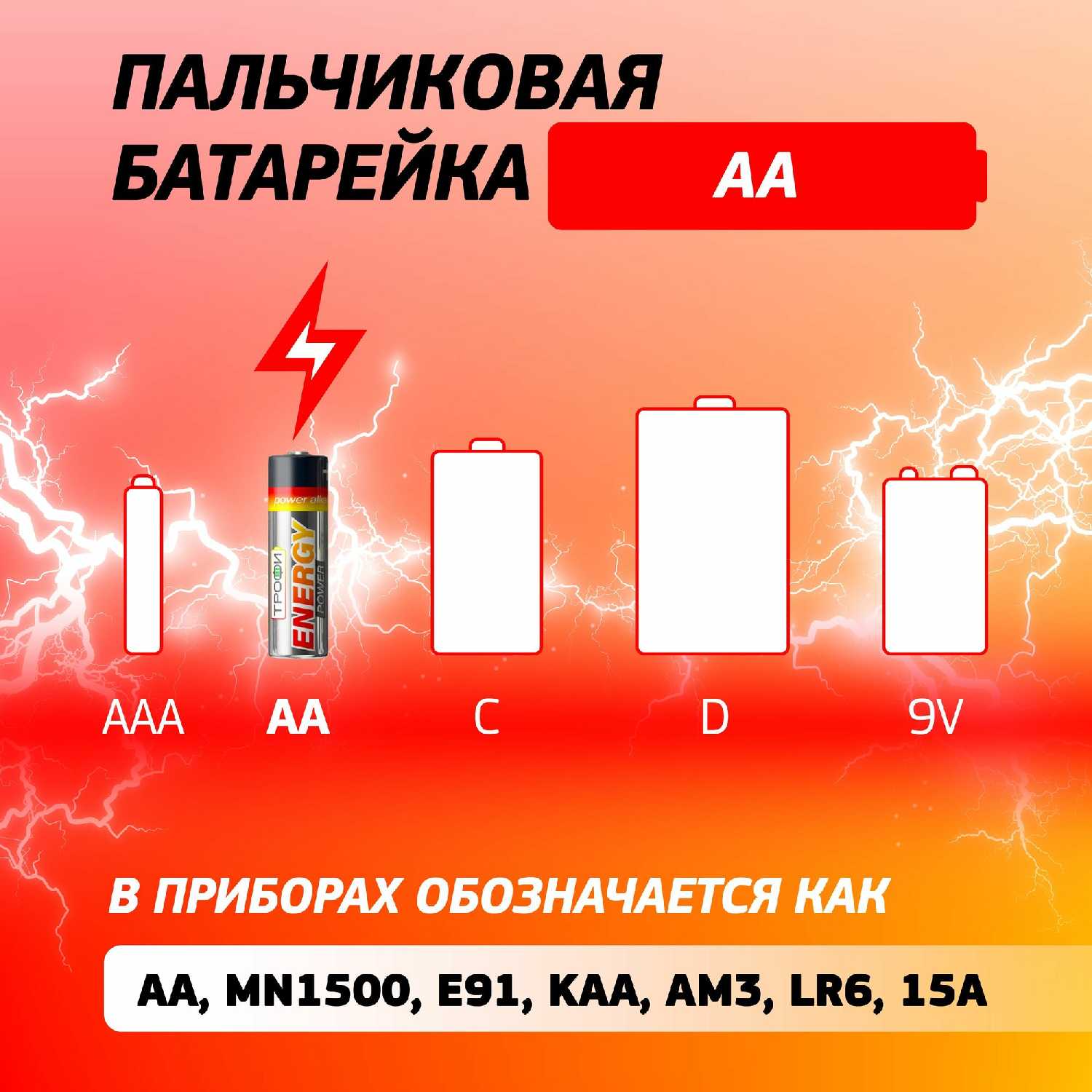Батарейки пальчиковые АА Трофи ENERGY POWER (LR6-24) фотография 2