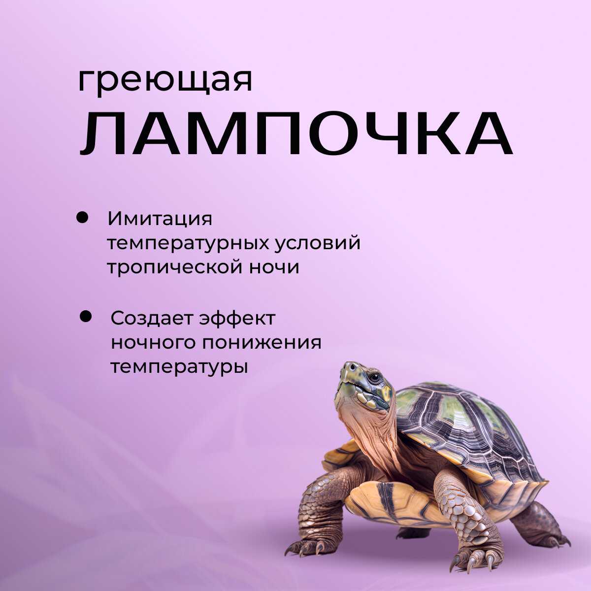 Лампочка ночная ультрафиолетовая (Е 27) фотография 3