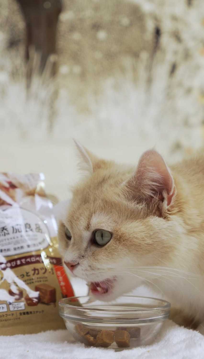 Лакомство для кошек CattyMan Конфетки-суфле фотография 7
