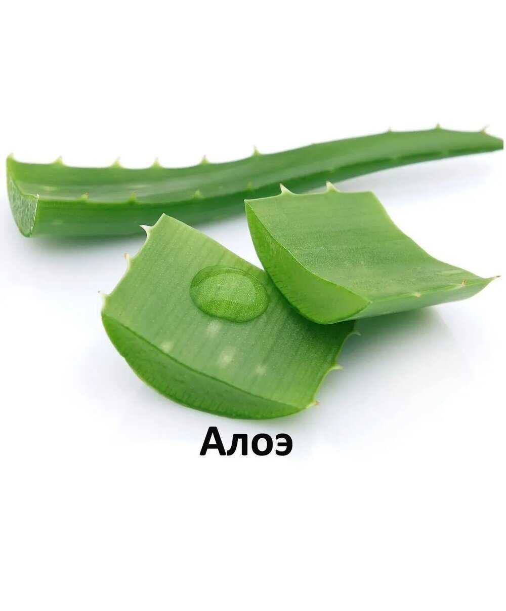 Корм для котят Alleva Holistic (беззерновой, с курицей, с уткой) фотография 19