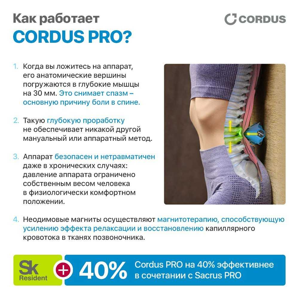 Cordus Plus комплект массажеров для спины шеи и поясницы фотография 5