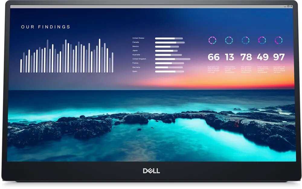 Портативный монитор DELL P1424H фотография 3