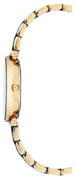 Наручные часы ANNE KLEIN 3158BKGB фотография 2