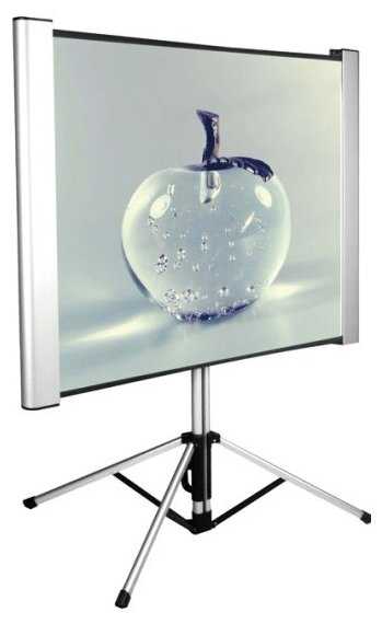 Экран Cactus 102x180см TriAlExpert CS-PSTALE-180X102 16:9 напольный рулонный фотография 12