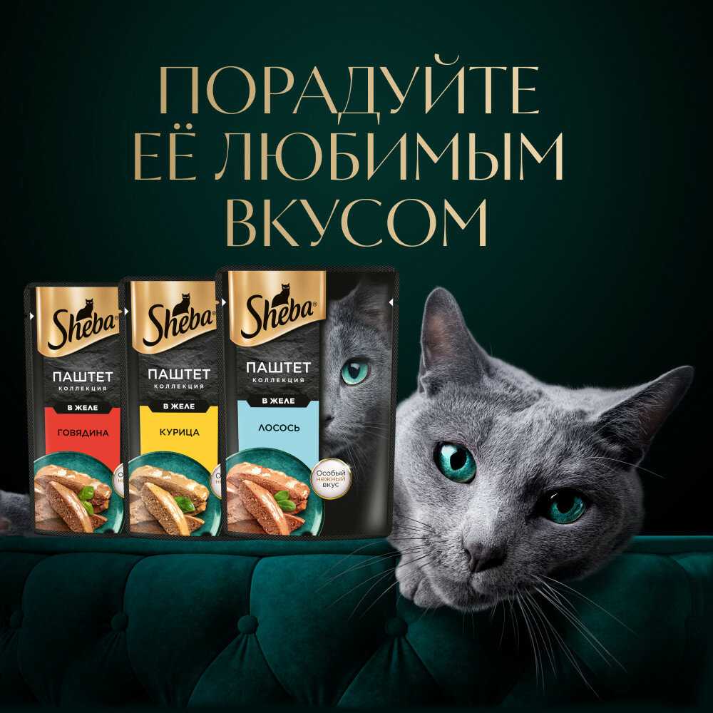 Корм для кошек Sheba Нежный паштет в желе с лососем фотография 13