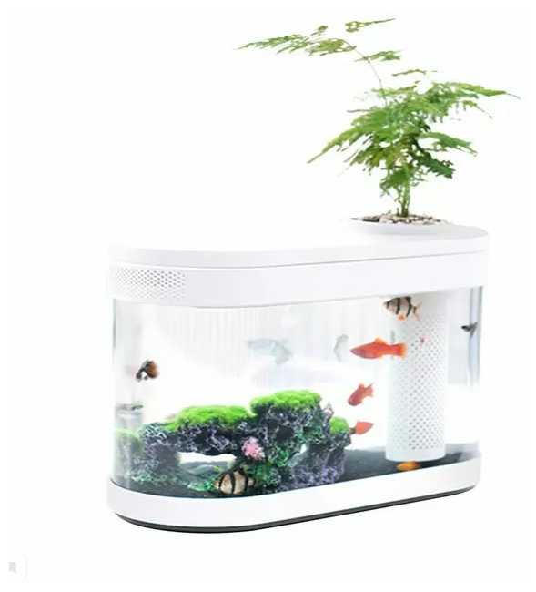 10 л Xiaomi Geometry Fish Tank Aquaponics Ecosystem (HF-JHYG001) фотография 2