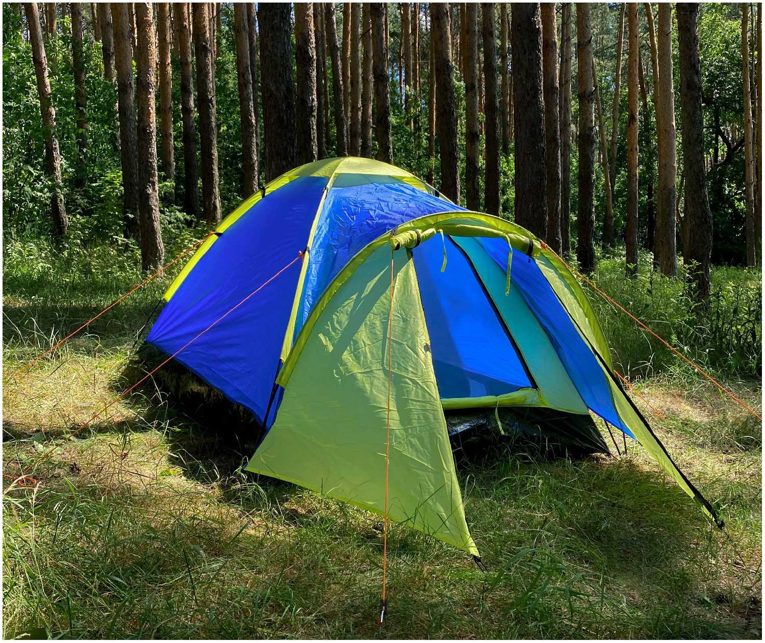 Палатка туристическая 2х местная однослойная с тамбуром Virtey Eclipse-2 (290х150х105 см) фотография 1