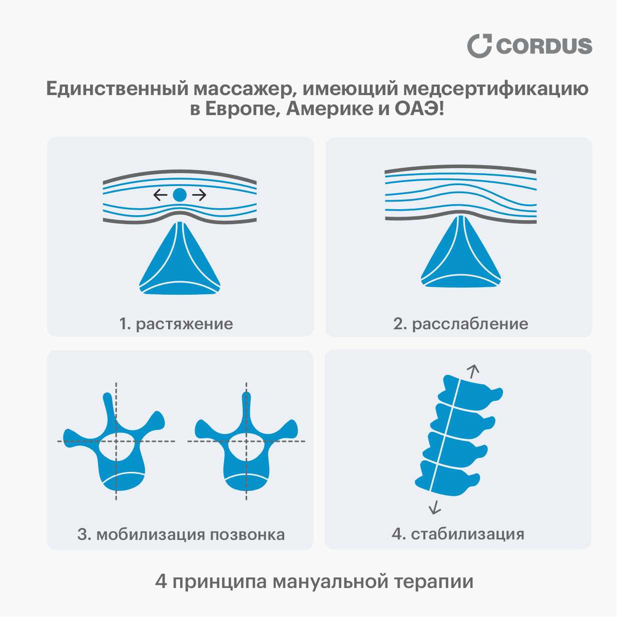 Cordus Plus комплект массажеров для спины шеи и поясницы фотография 9