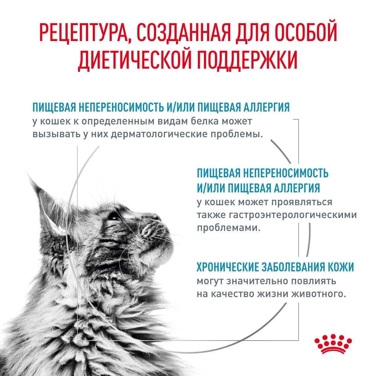 Влажный корм для кошек Royal Canin Sensitivity Control (в соусе) фотография 1