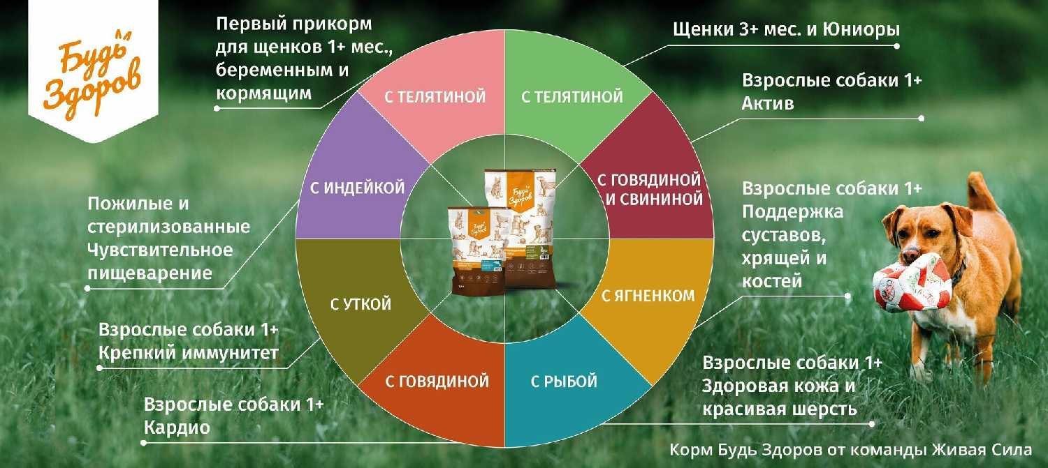 Корм для взрослых собак Живая сила Будь Здоров (с ягненком) фотография 10