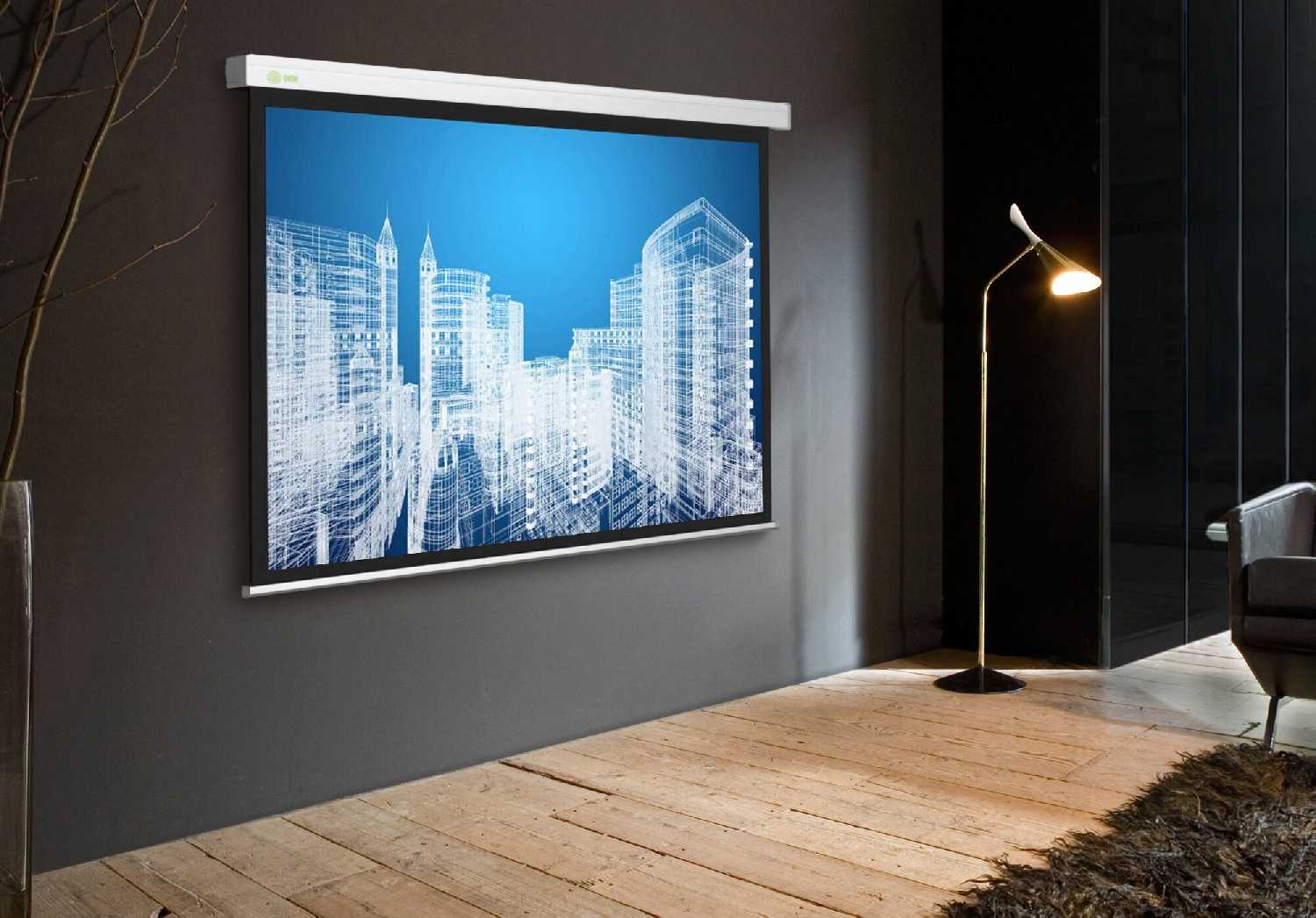 Рулонный cactus Wallscreen (CS-PSW-183x244) фотография 3