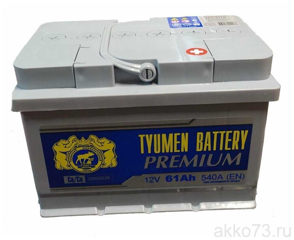 Автомобильный аккумулятор TYUMEN BATTERY PREMIUM 6СТ-61L (540А) фотография 4