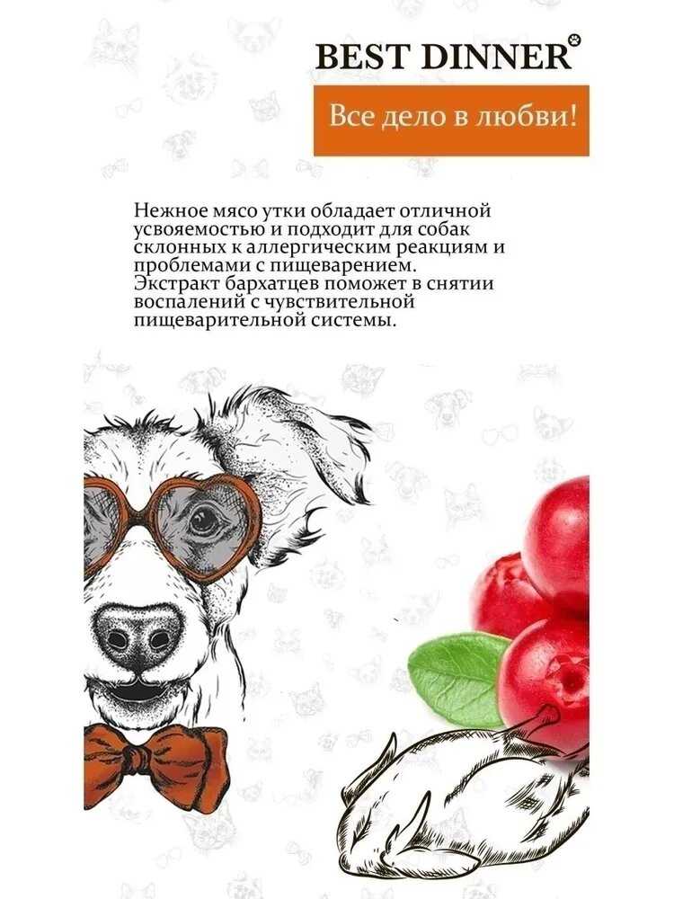 Корм Best Dinner Sensible Утка с картофелем фотография 19