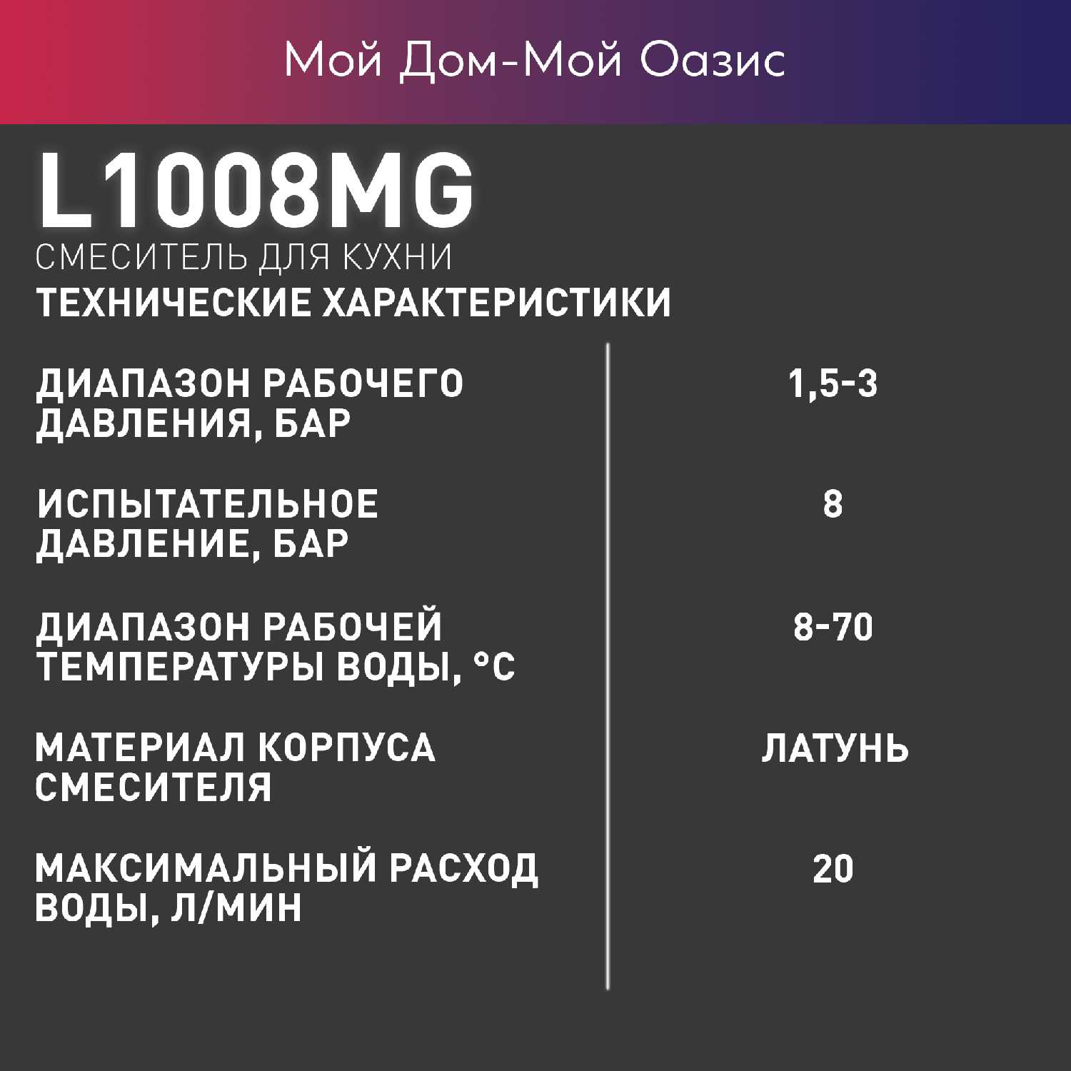 Смеситель для кухни Oasis Смеситель для кухни (L1008MG) фотография 5