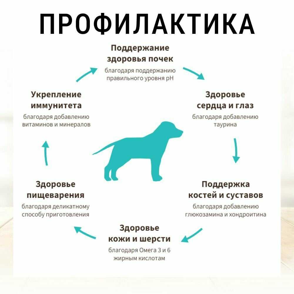 Корм для собак Grandorf Grandorf (индейка, с рисом) фотография 3