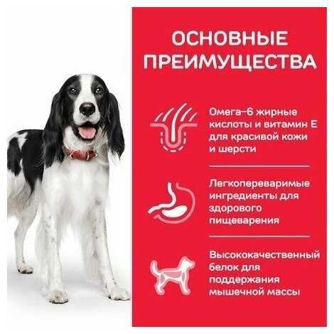 Корм для собак Hill's Science Plan (с курицей) фотография 10