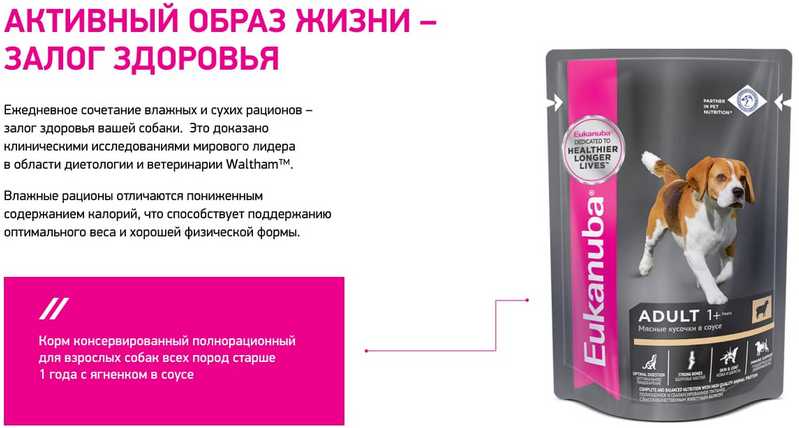 Корм для собак Eukanuba для здоровья кожи и шерсти фотография 3