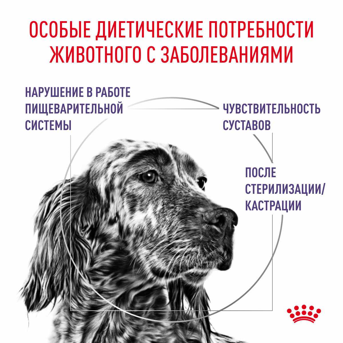 ROYAL CANIN NEUTERED ADULT MEDIUM DOG M (9 + 9 кг) фотография 5