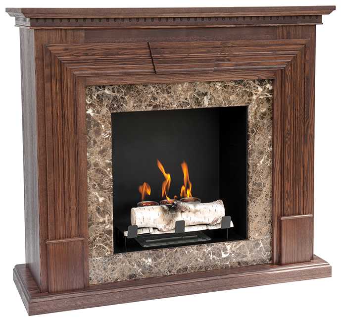 Биокамин Bioteplo напольный, напольная установка в классический портал биокамина. фотография 2