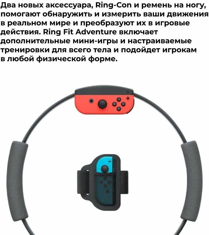 Аксессуары Nintendo Ring-Con фотография 5