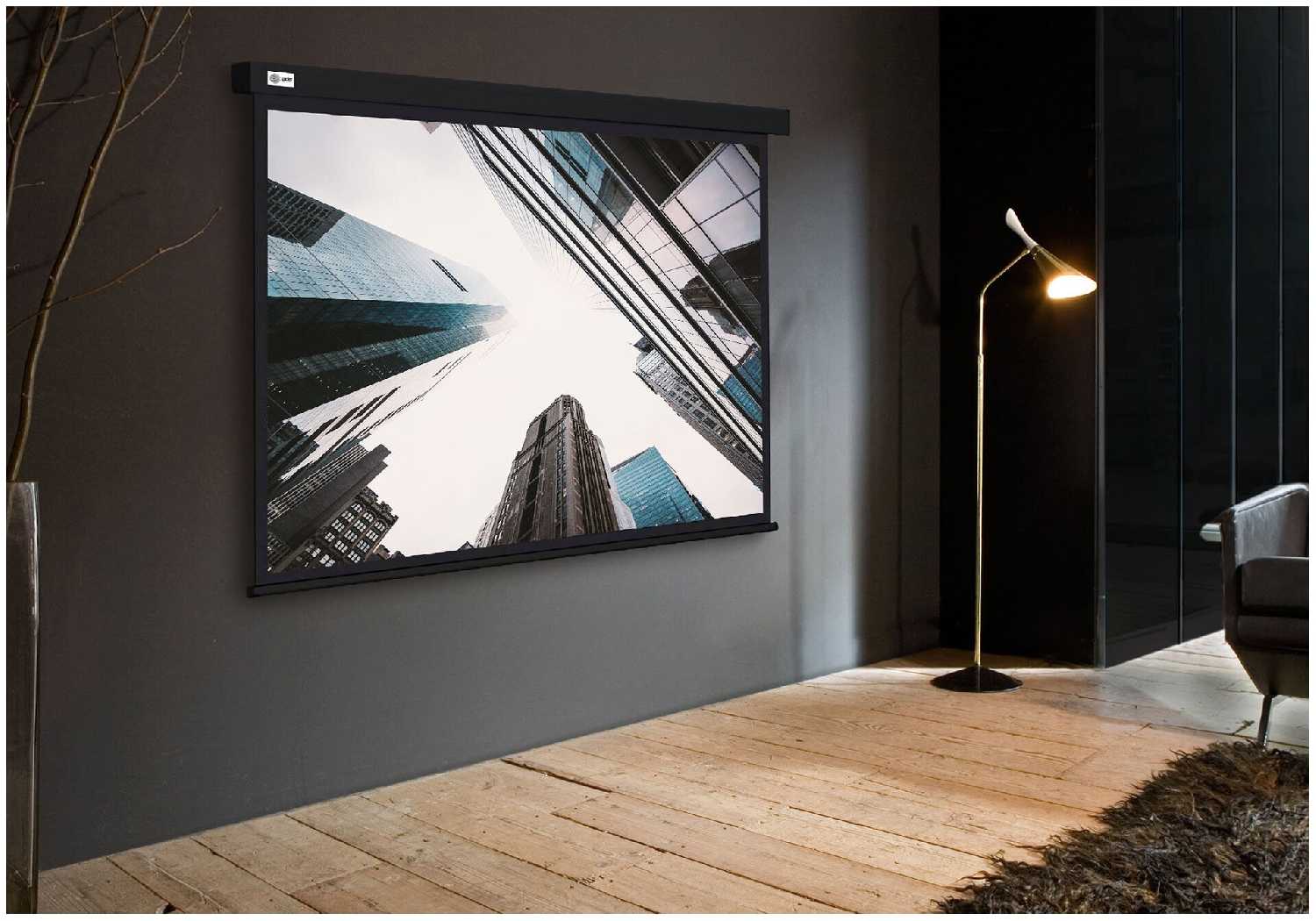 Рулонный cactus Wallscreen (CS-PSW-124x221) фотография 5