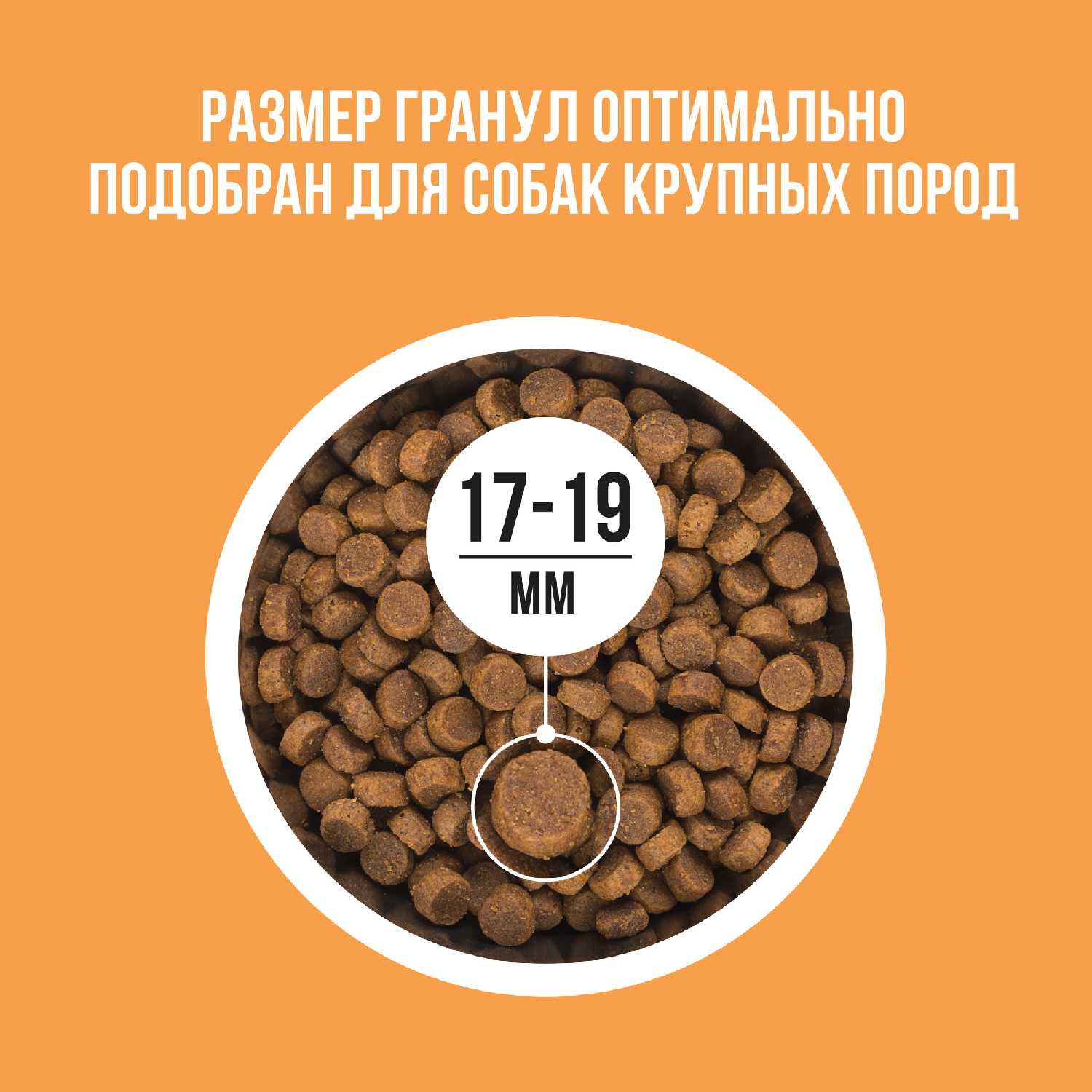 Корм для щенков средних пород собак с индейкой, рисом и клюквой 2 кг. фотография 15