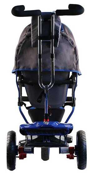 Трехколесный велосипед Androni Giocattoli L3 2018 фотография 5