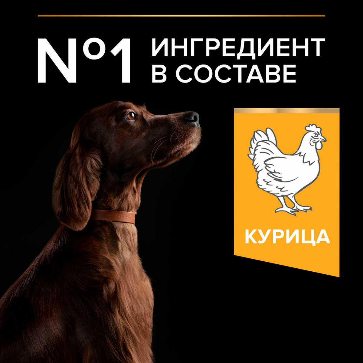 Корм для собак Pro Plan (атлетического телосложения) фотография 6