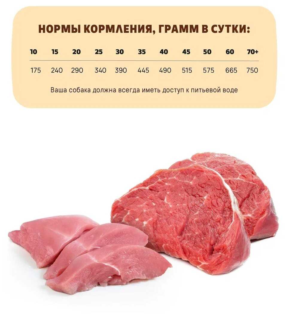 Корм для собак Для самых преданных Сенситив фотография 1