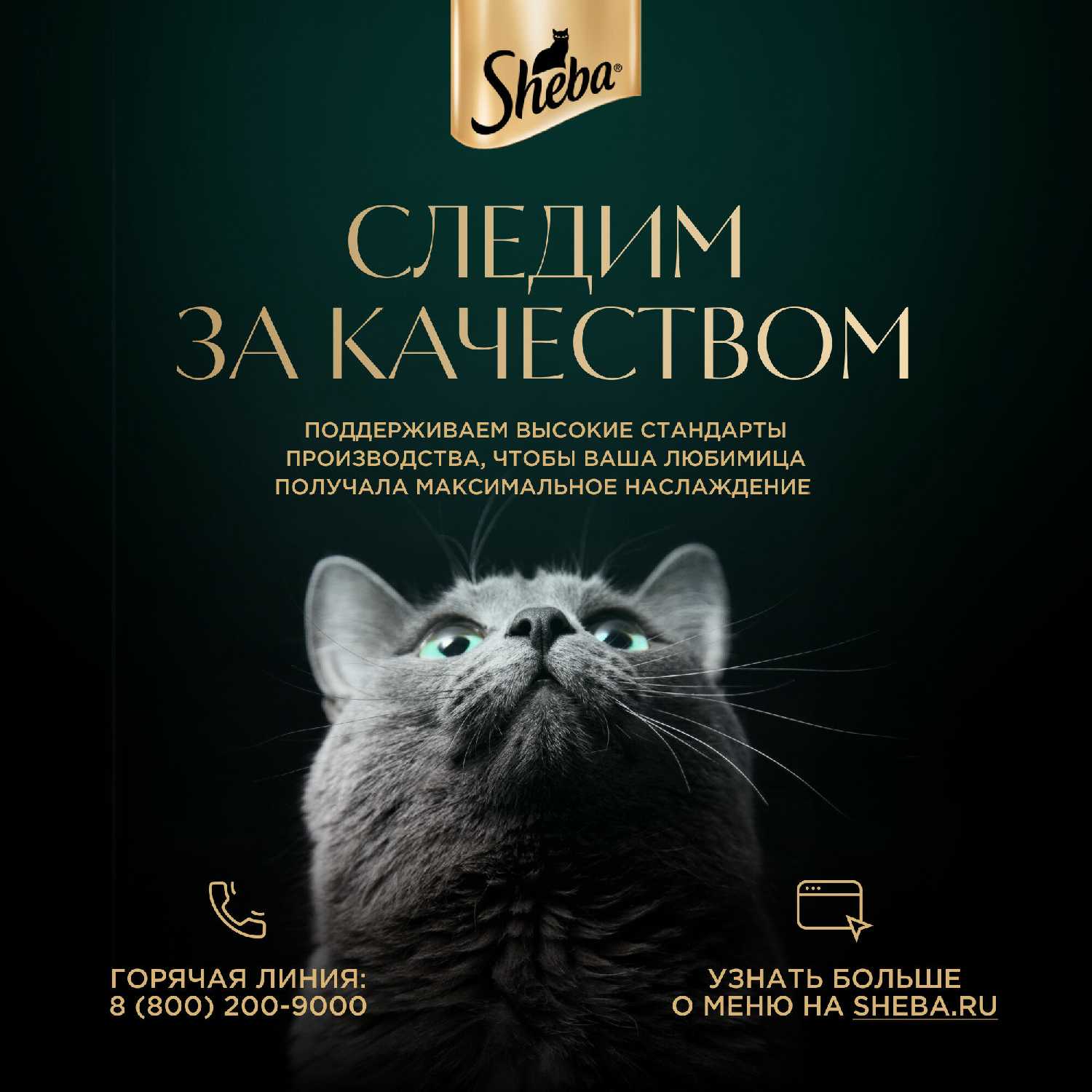 Корм для кошек Sheba Нежный паштет в желе с индейкой фотография 6