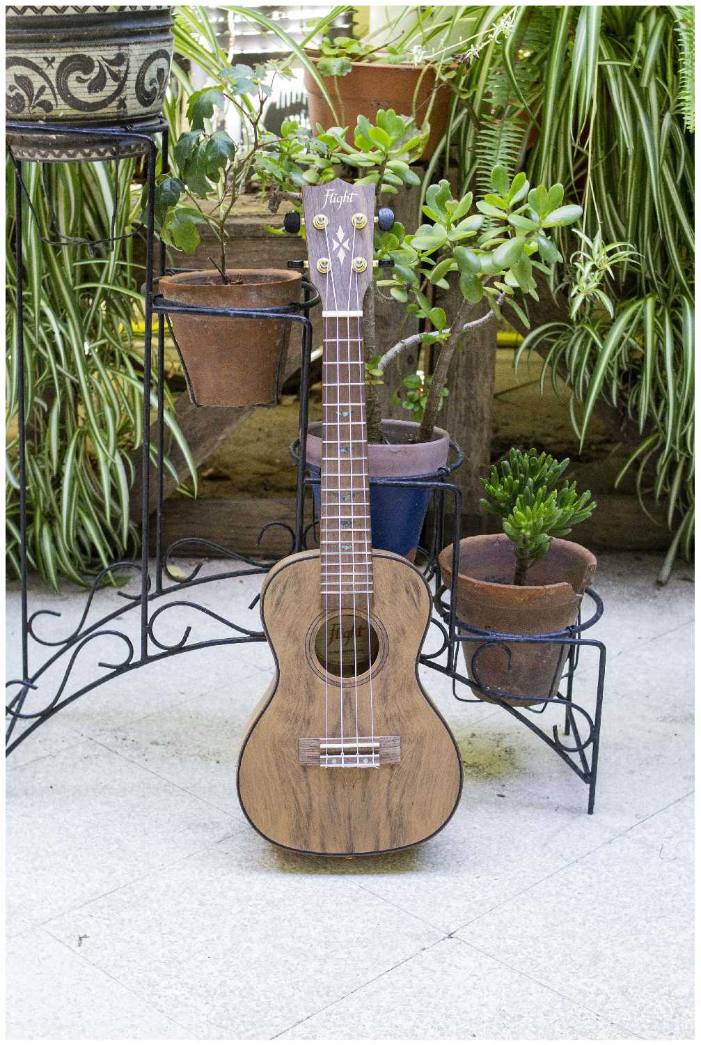 FLIGHT DUC430 DAO Укулеле концерт фотография 2