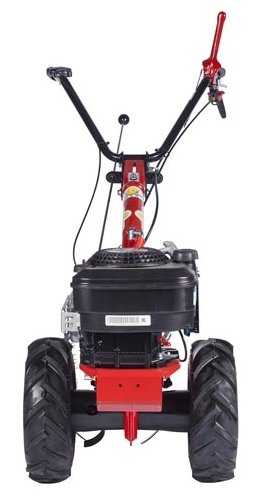 Мотоблок бензиновый Eurosystems P 55 B&S 675 Series, 5.98 л.с. фотография 1