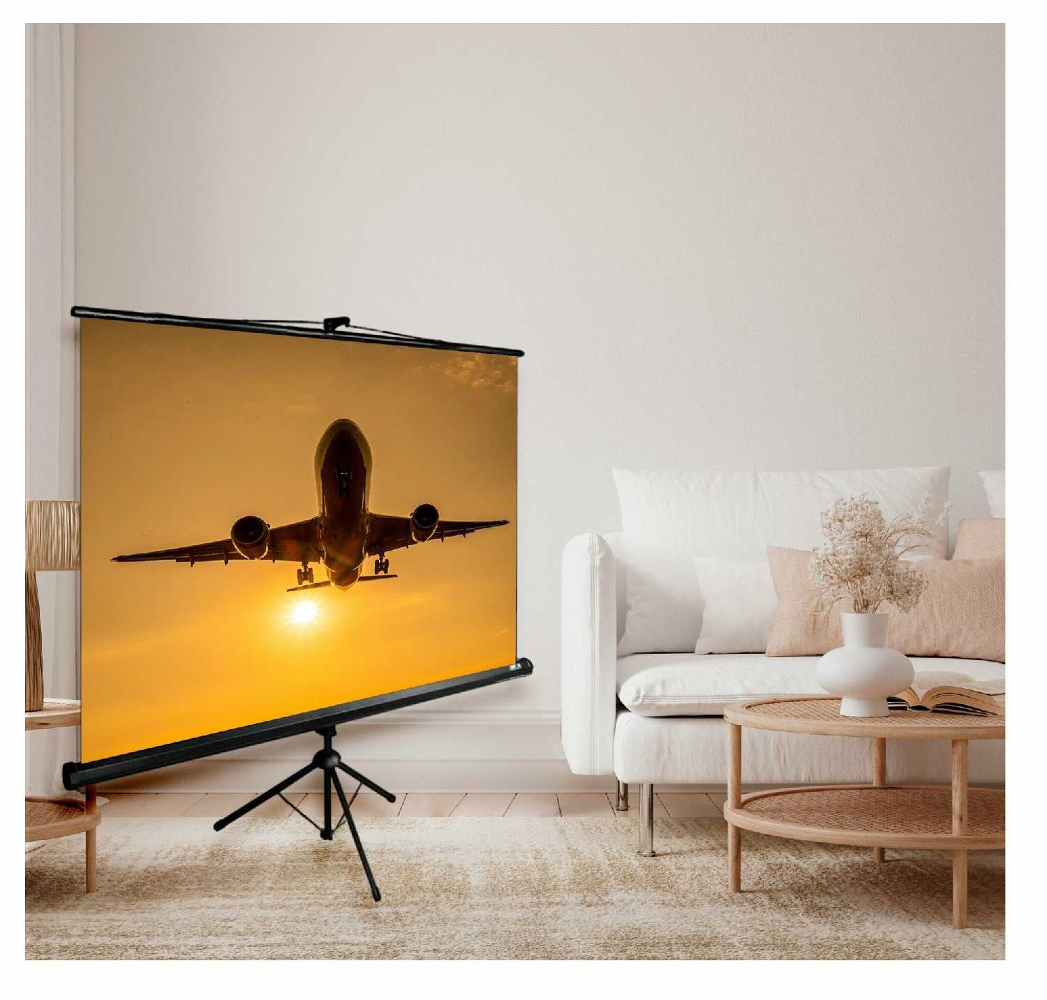 Рулонный cactus Triscreen (CS-PST-124x221) фотография 5