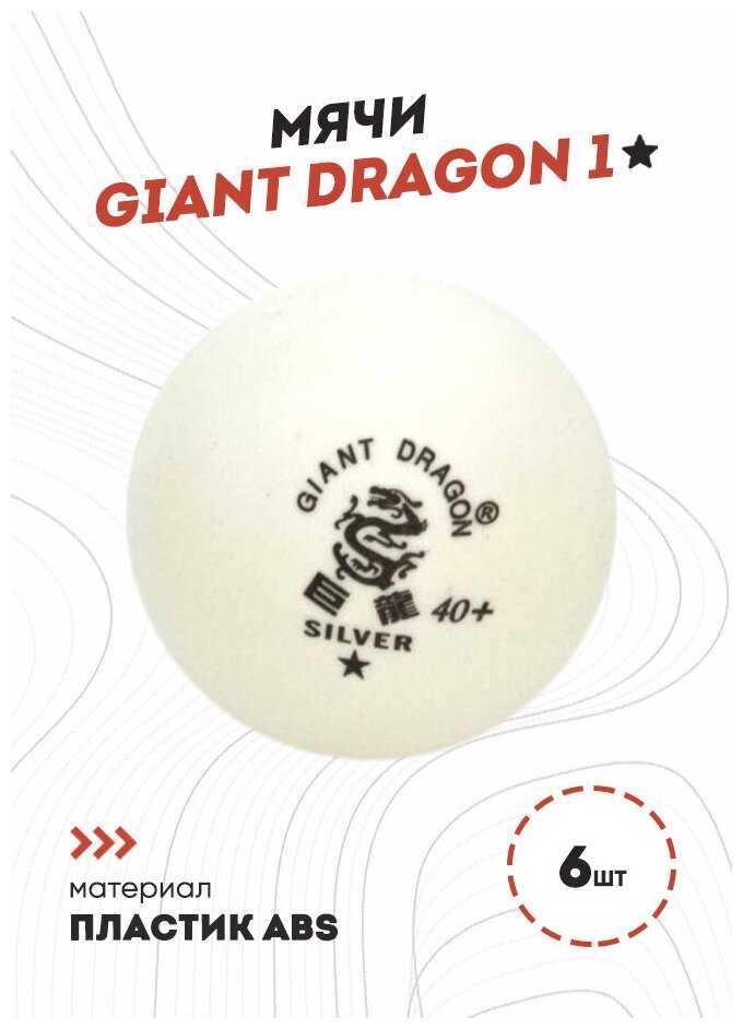 Мячи Dragon Training Silver 1* (6 шт, белые) в коробке