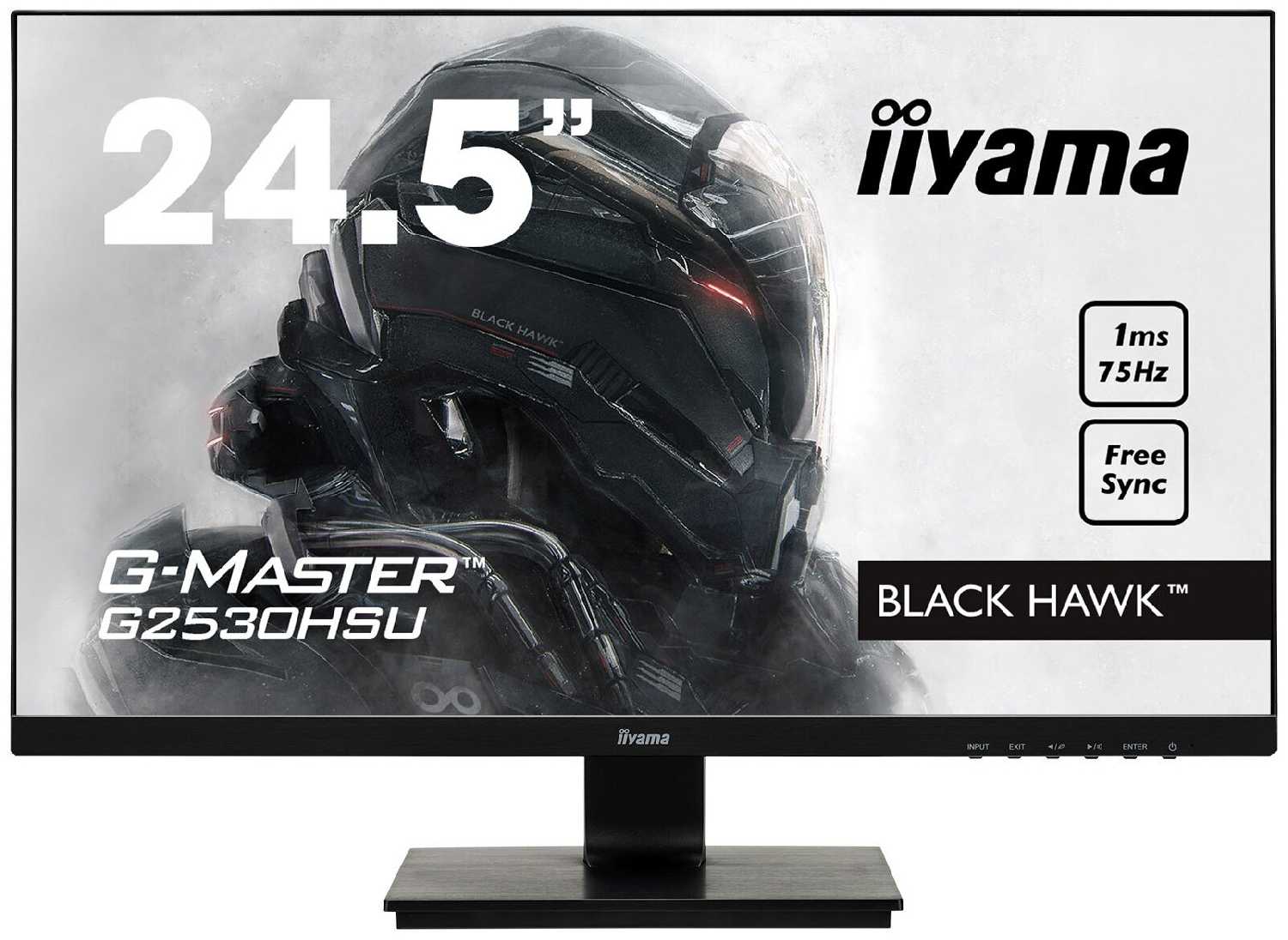 Монитор Iiyama G-Master G2530HSU-B1
