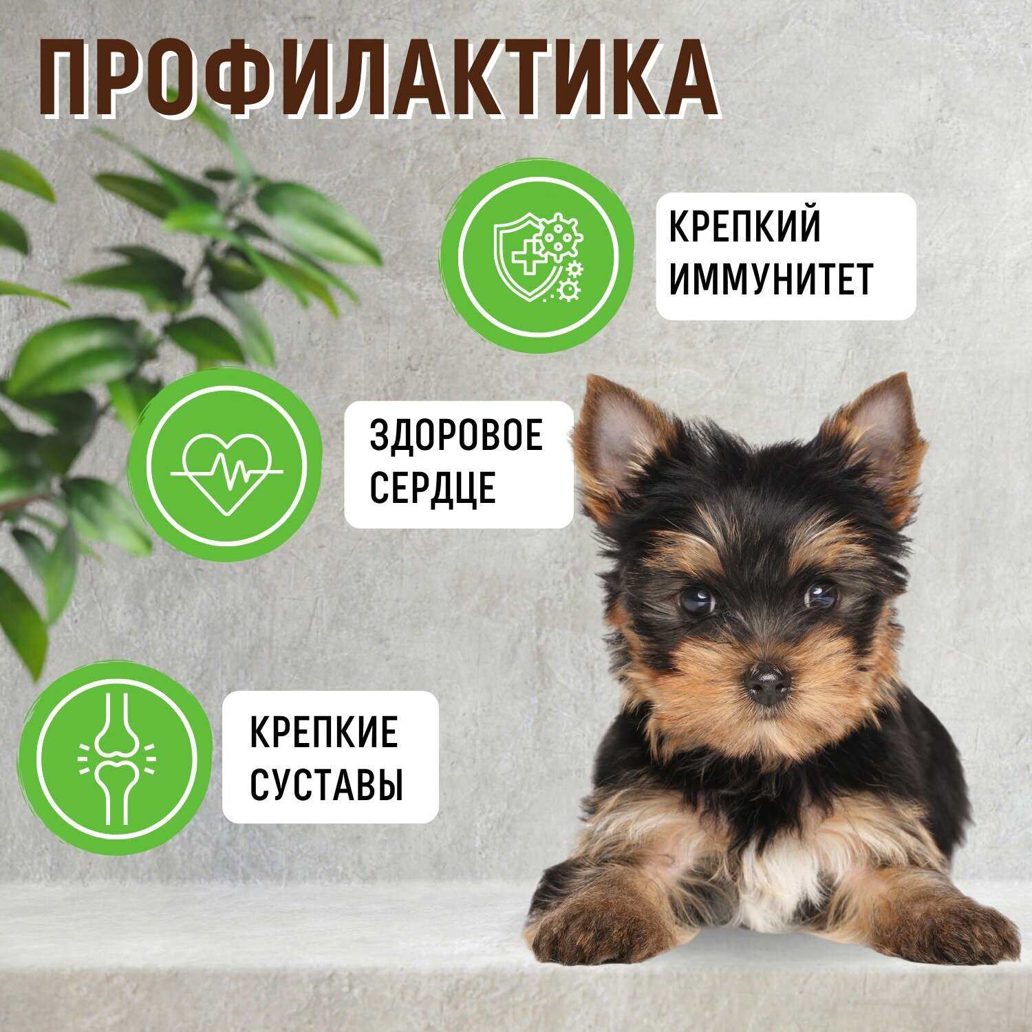 Корм для собак Grandorf гипоаллергенный, Low Grain, ягненок с индейкой фотография 6