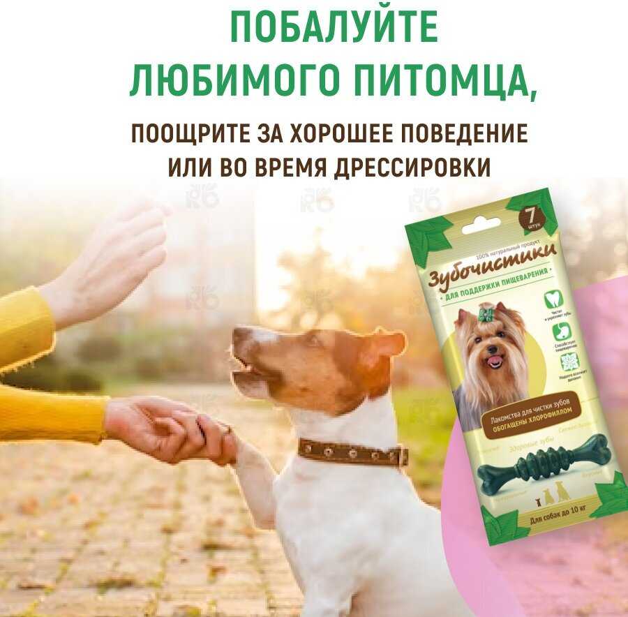 Лакомство для собак Зубочистики Мятные с хлорофиллом для малых пород фотография 6